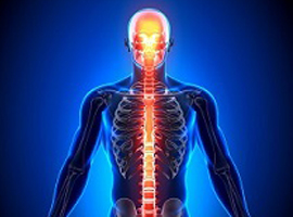 Neuro Surgery Hospital in Dehradun