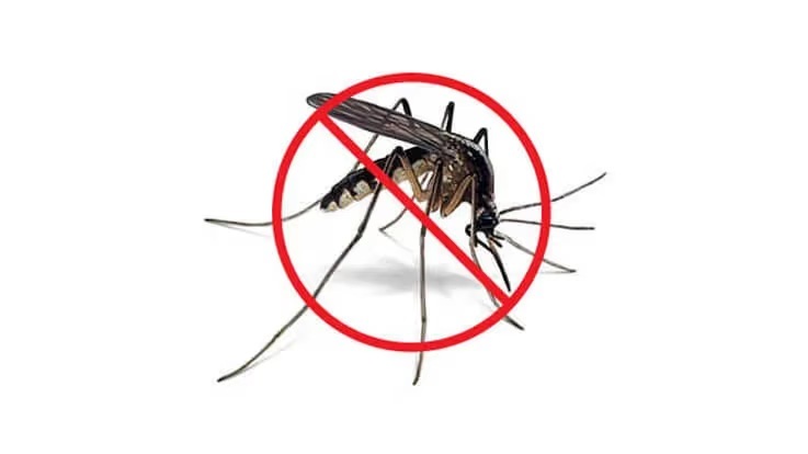 Dengue Treatment Hospital in Dehradun – Panacea Hospital providing expert care and advanced facilities for dengue patients